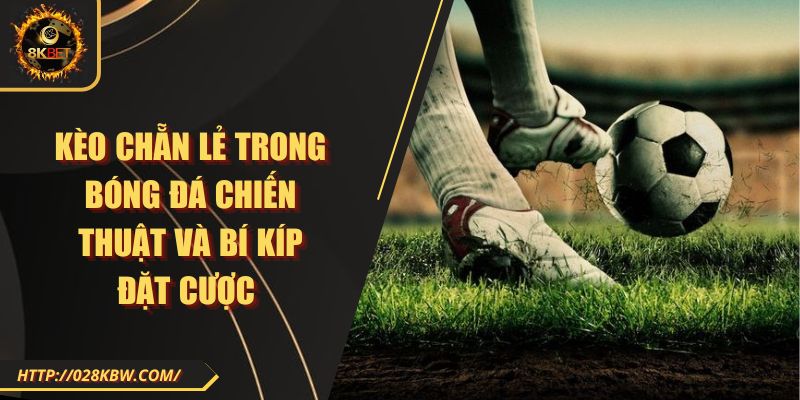 Kèo chẵn lẻ trong bóng đá chiến thuật và bí kíp đặt cược